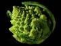 fractal_broccoli.jpg